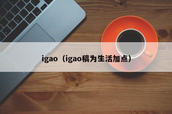 igao（igao稿为生活加点）