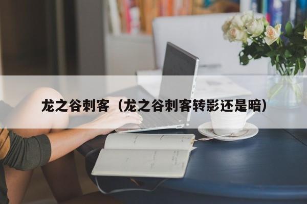 龙之谷刺客（龙之谷刺客转影还是暗）