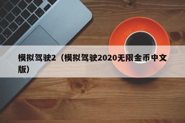 模拟驾驶2（模拟驾驶2020无限金币中文版）