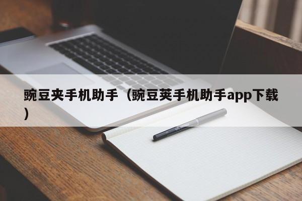 豌豆夹手机助手（豌豆荚手机助手app下载）