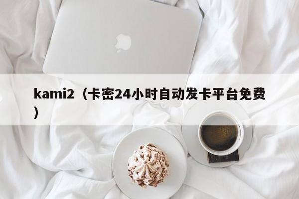 kami2（卡密24小时自动发卡平台免费）