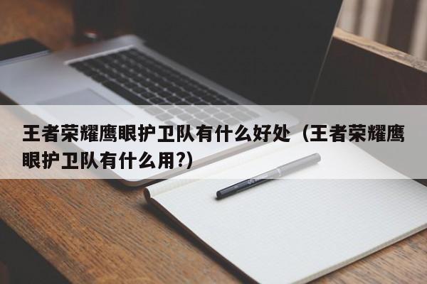 王者荣耀鹰眼护卫队有什么好处（王者荣耀鹰眼护卫队有什么用?）