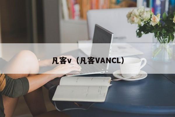 凡客v（凡客VANCL）