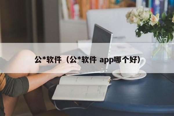 公*软件（公*软件 app哪个好）