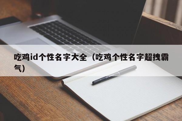 吃鸡id个性名字大全（吃鸡个性名字超拽霸气）