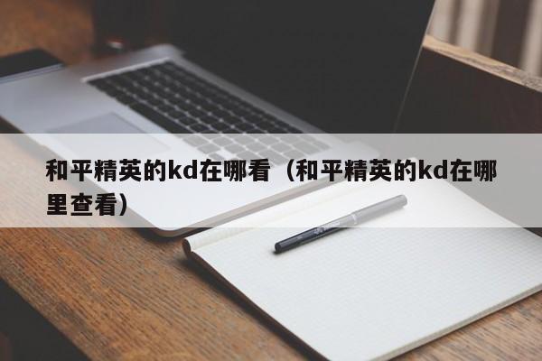 和平精英的kd在哪看（和平精英的kd在哪里查看）