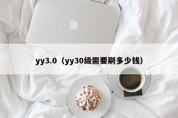 yy3.0（yy30级需要刷多少钱）