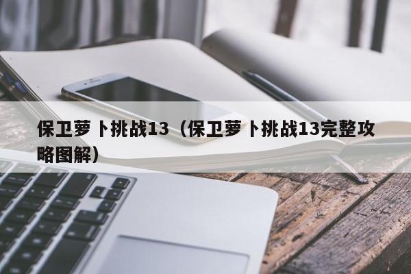 保卫萝卜挑战13（保卫萝卜挑战13完整攻略图解）