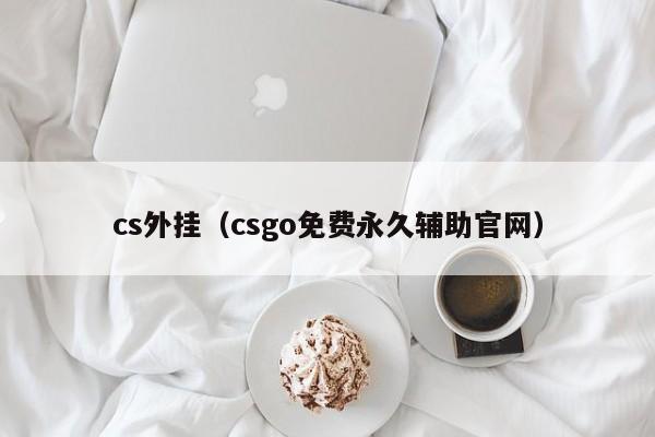 cs外挂（csgo免费永久辅助官网）