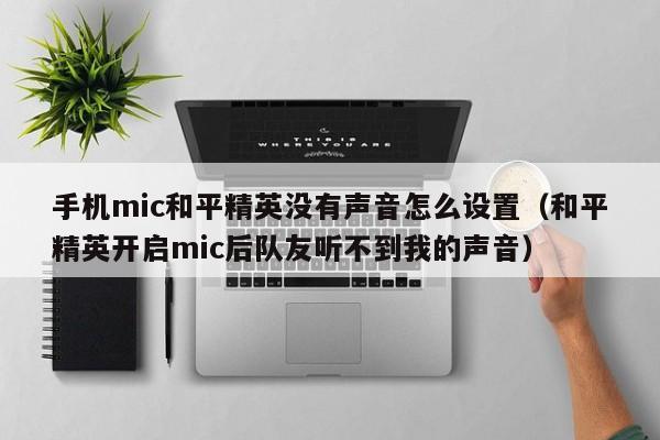 手机mic和平精英没有声音怎么设置（和平精英开启mic后队友听不到我的声音）