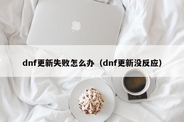 dnf更新失败怎么办（dnf更新没反应）